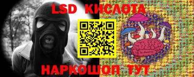 шишки Бузулук