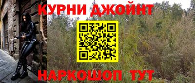 шишки Бузулук