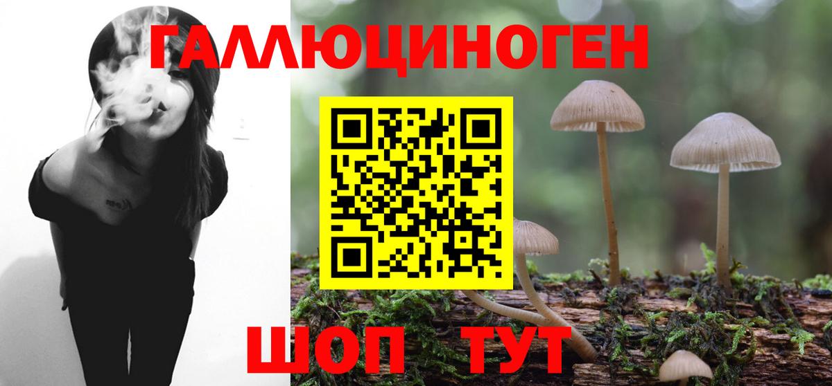 Псилоцибиновые грибы Psilocybe  Вход с VPN  Заинск  Галлюциногенные грибы Psilocybine cubensis 